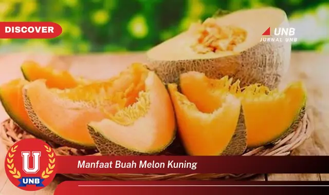 Banyak Yang Belum Tau Ini Dia 15 Manfaat Buah Melon Kuning Yang Wajib