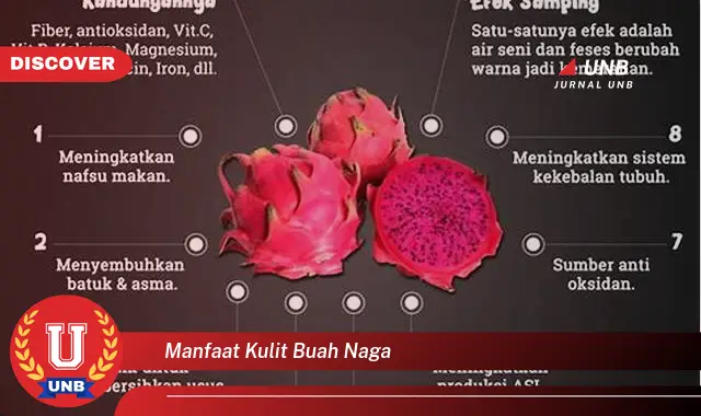 Temukan Manfaat Kulit Buah Naga Yang Wajib Kamu Intip