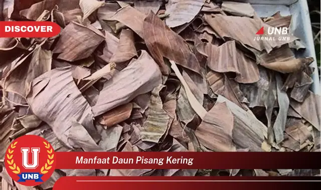 Ketahui 6 Manfaat Daun Pisang Kering Yang Bikin Kamu Penasaran