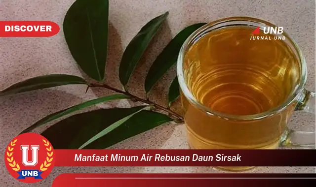 Ketahui 6 Manfaat Minum Air Rebusan Daun Sirsak Yang Jarang Diketahui