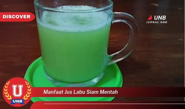 Temukan Manfaat Jus Labu Siam Mentah Yang Bikin Kamu Penasaran