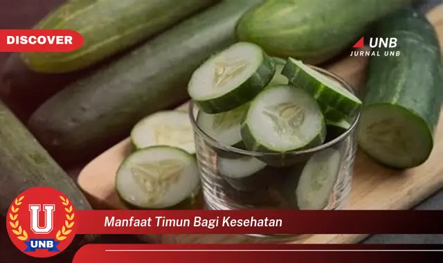 Ketahui 6 Manfaat Timun Bagi Kesehatan Yang Bikin Kamu Penasaran