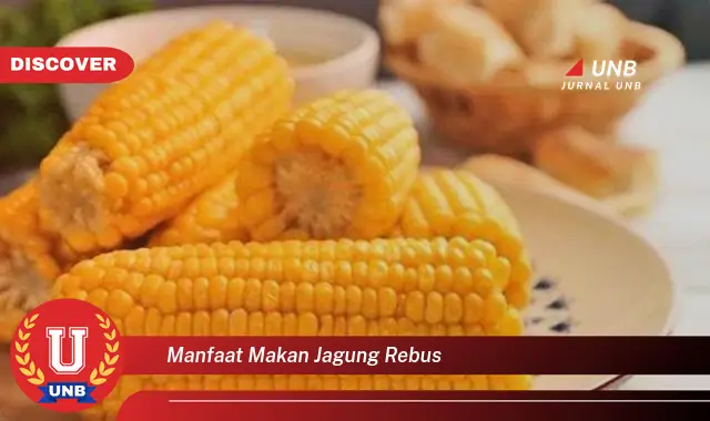 Temukan Manfaat Makan Jagung Rebus Yang Bikin Kamu Penasaran