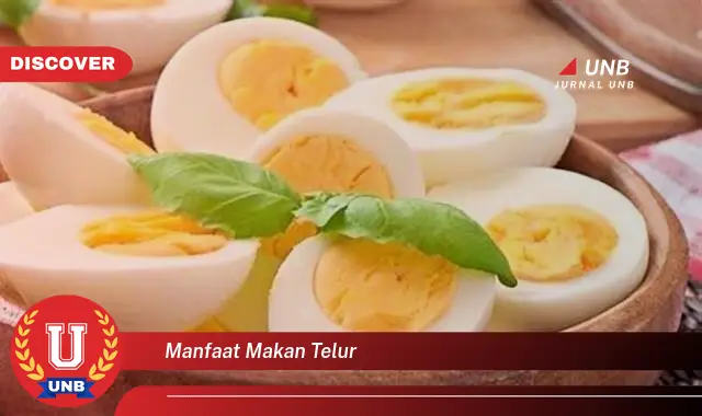 Ketahui 6 Manfaat Makan Telur Yang Wajib Kamu Ketahui