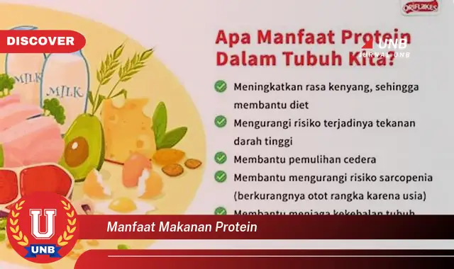 Temukan 6 Manfaat Protein Yang Bikin Kamu Penasaran