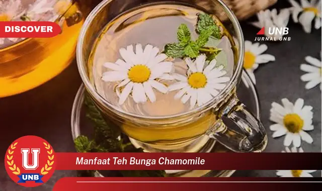 Intip 6 Manfaat Teh Bunga Chamomile Yang Bikin Kamu Penasaran