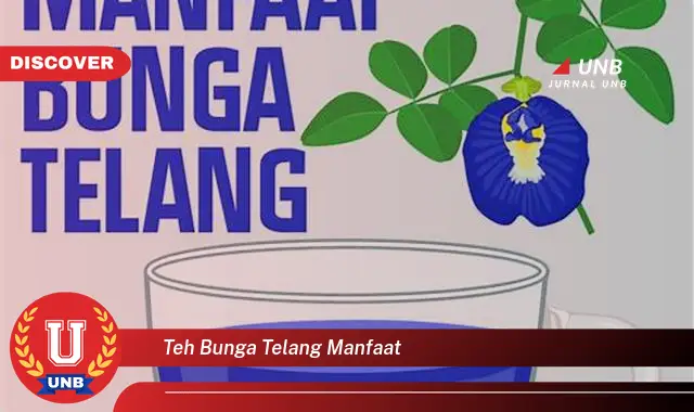 Intip 6 Manfaat Teh Bunga Telang Yang Wajib Kamu Ketahui