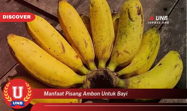 Intip 6 Manfaat Pisang Ambon Untuk Bayi Yang Bikin Kamu Penasaran