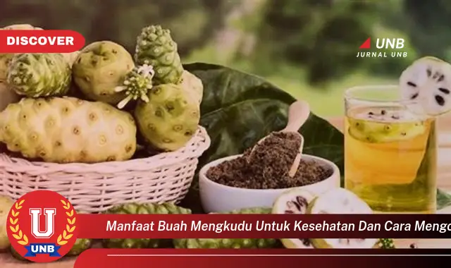 Temukan 6 Manfaat Buah Mengkudu Untuk Kesehatan Yang Bikin Kamu Penasaran