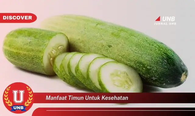 Ketahui 6 Manfaat Timun Untuk Kesehatan Yang Wajib Kamu Intip