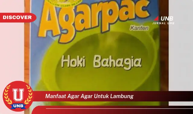 Intip Manfaat Agar Agar Untuk Lambung Yang Bikin Kamu Penasaran