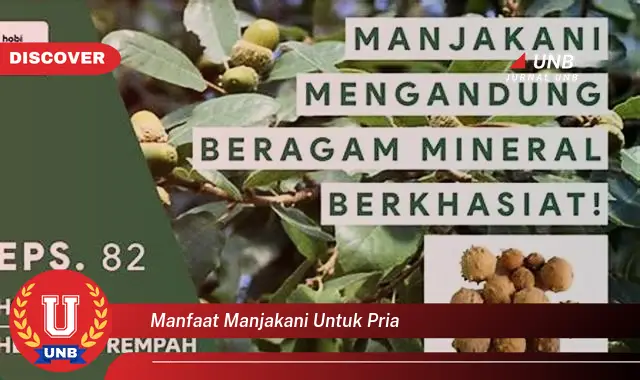 Ketahui Manfaat Manjakani Untuk Pria Yang Bikin Penasaran