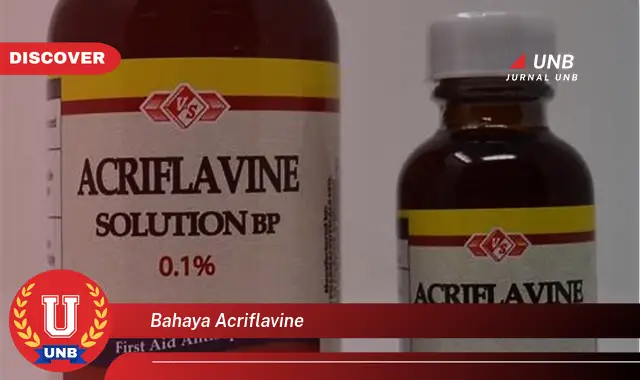 bahaya acriflavine