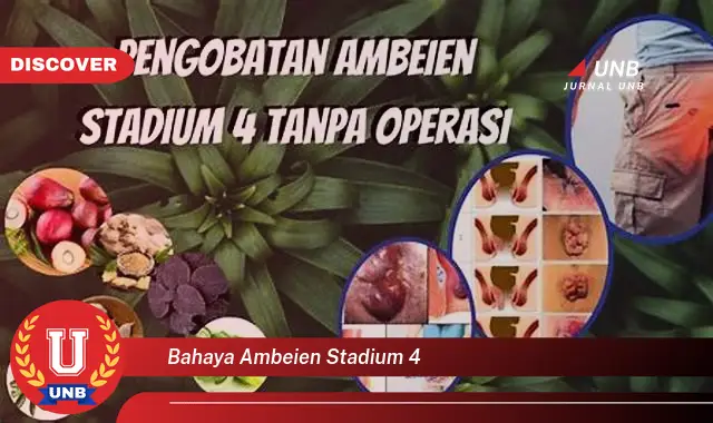 bahaya ambeien stadium 4