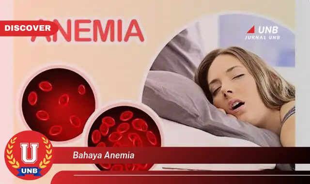 bahaya anemia bahaya anemia