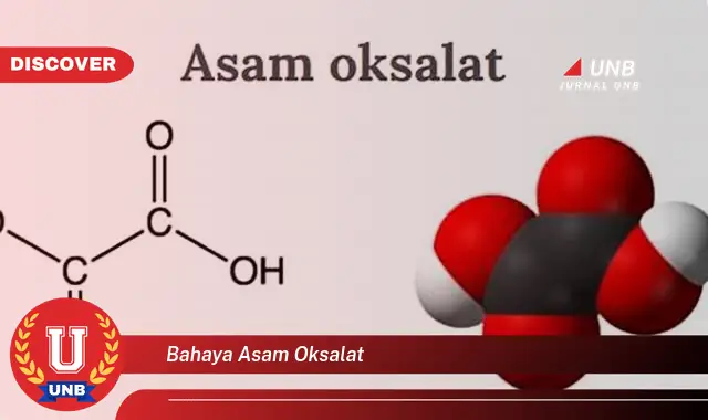bahaya asam oksalat bahaya asam oksalat