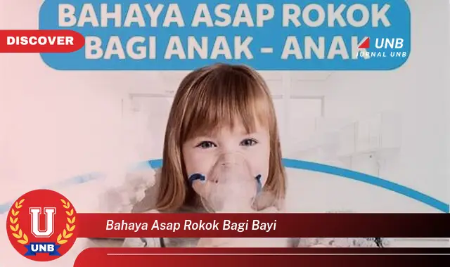 bahaya asap rokok bagi bayi