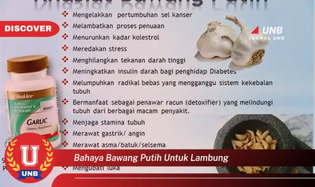 bahaya bawang putih untuk lambung bahaya bawang putih untuk lambung