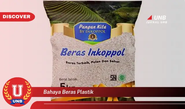 bahaya beras plastik