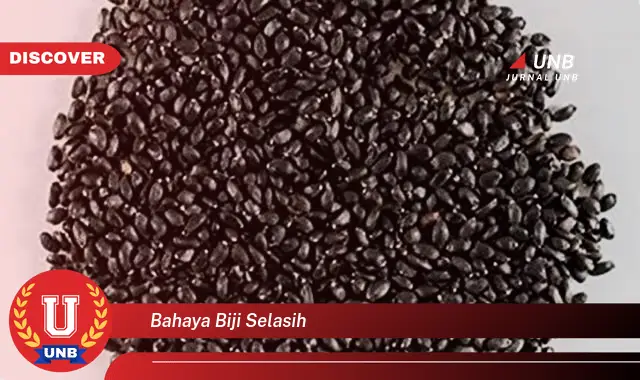 bahaya biji selasih