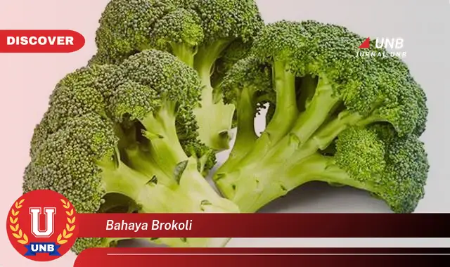 bahaya brokoli