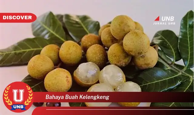 bahaya buah kelengkeng bahaya buah kelengkeng