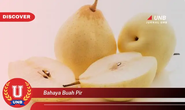 bahaya buah pir bahaya buah pir