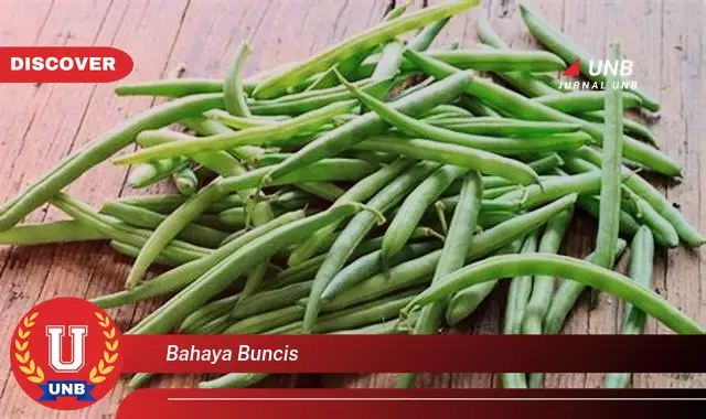bahaya buncis