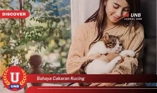 bahaya cakaran kucing