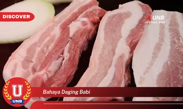 bahaya daging babi bahaya daging babi