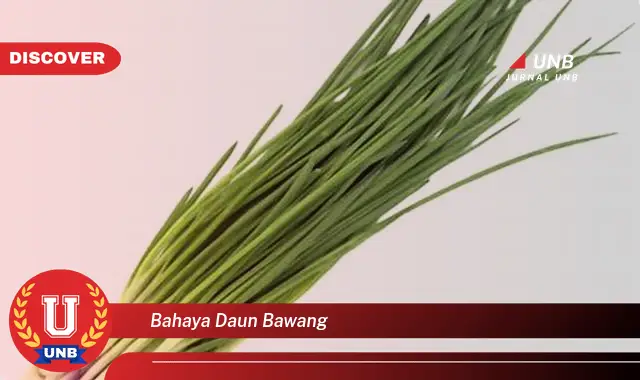 bahaya daun bawang