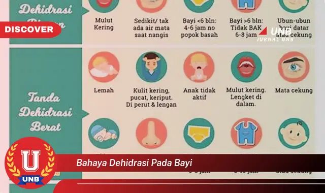 bahaya dehidrasi pada bayi bahaya dehidrasi pada bayi
