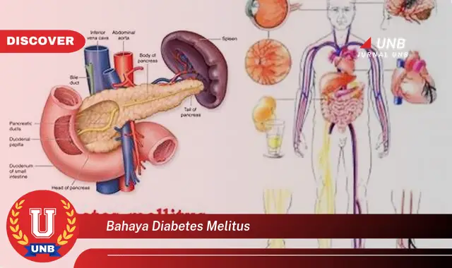 bahaya diabetes melitus