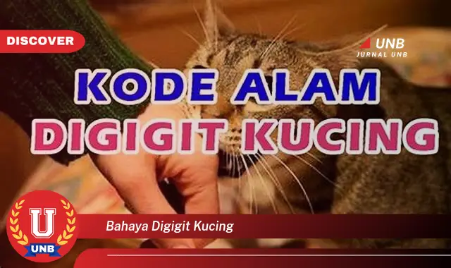 bahaya digigit kucing bahaya digigit kucing