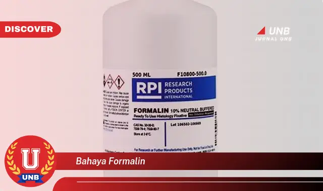bahaya formalin bahaya formalin