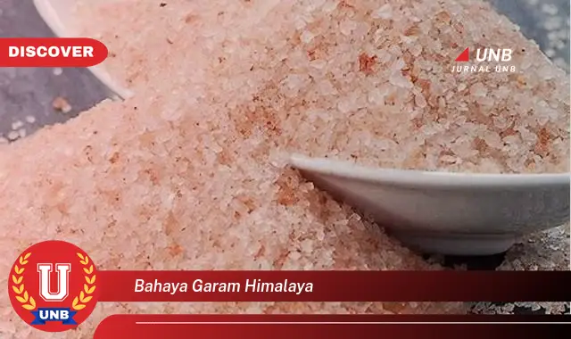 bahaya garam himalaya bahaya garam himalaya