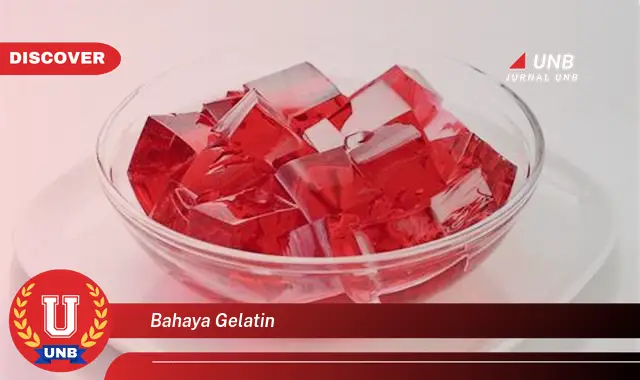 bahaya gelatin bahaya gelatin