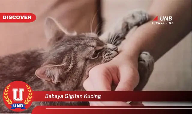 Inilah 10 Bahaya Gigitan Kucing yang Wajib Diketahui