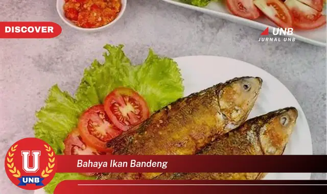 bahaya ikan bandeng