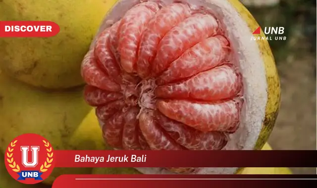 bahaya jeruk bali