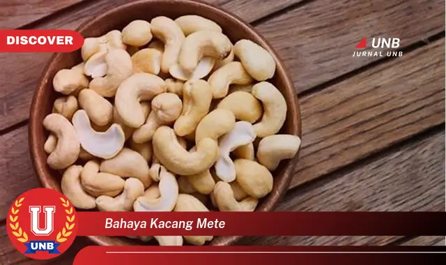 bahaya kacang mete bahaya kacang mete