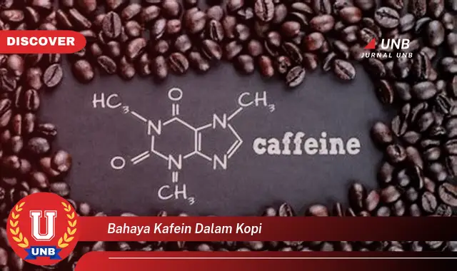 bahaya kafein dalam kopi