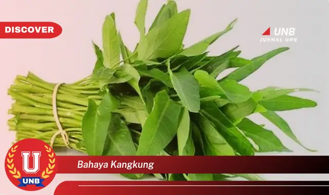 bahaya kangkung bahaya kangkung