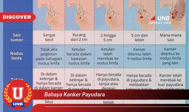 bahaya kanker payudara