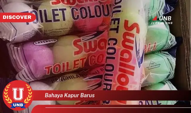 bahaya kapur barus