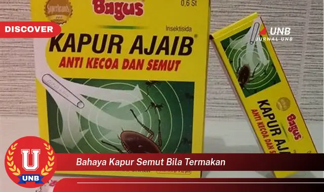 bahaya kapur semut bila termakan