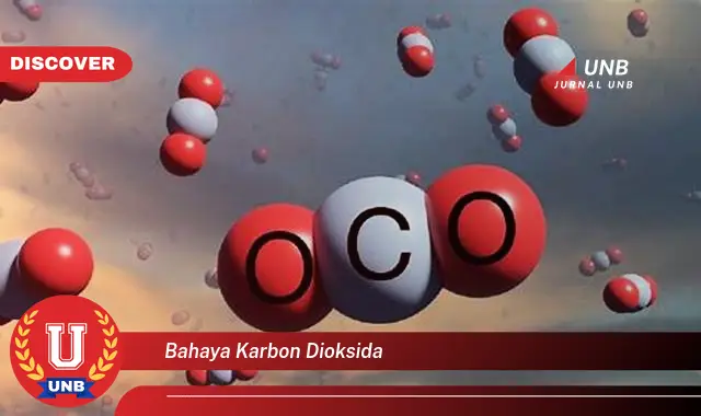 bahaya karbon dioksida bahaya karbon dioksida
