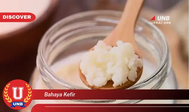 bahaya kefir