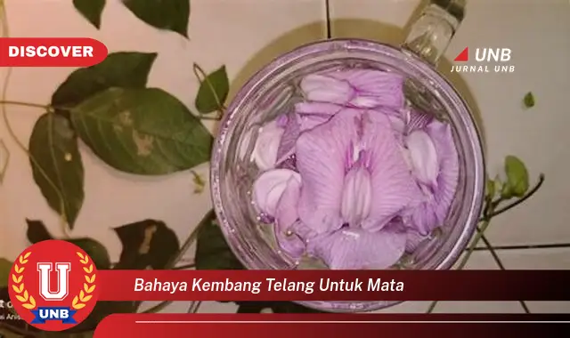 bahaya kembang telang untuk mata