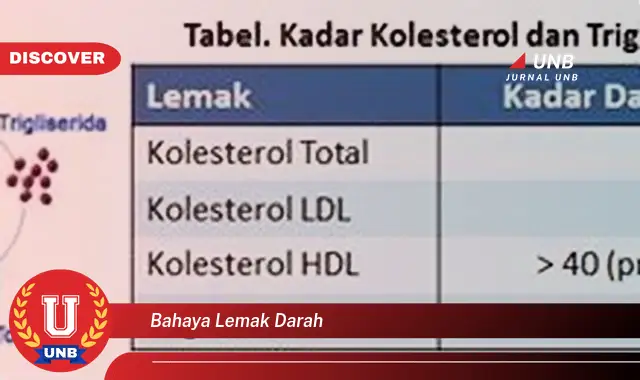 bahaya lemak darah bahaya lemak darah